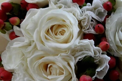 1080x1920 Design Beautiful Rose Flowers Wallpapers HD