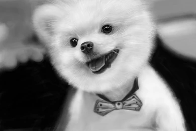 Old Harley Davidson Hd 1080p Wallpapers Download Wallpapers At ...