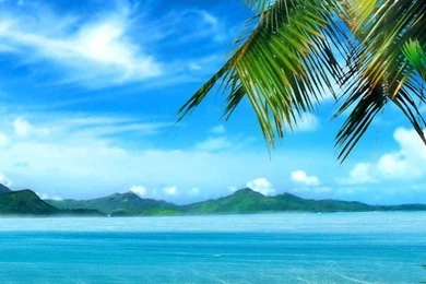 Beach Iphone Backgrounds Tumblr