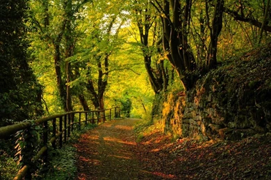 Free Laptop Wallpaper Desktop Image Background Picture.jpg