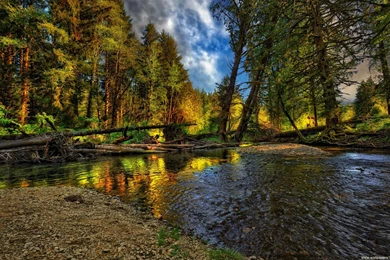 Top Nature Wallpapers Full Size Images For Pinterest