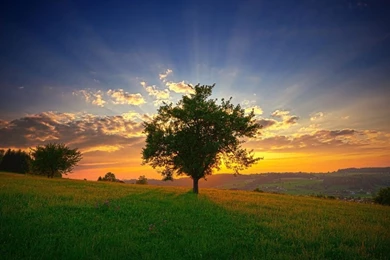 300 Full HD Best Nature Wallpapers 1920x1080p   Photo 296 Of 299 ...