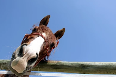 HD Wallpapers Source   Page 474 Of 489   100% Quality HD Desktop ...