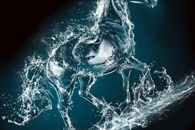 Purple Water Horse Wallpapers   Free iPhone Wallpapers