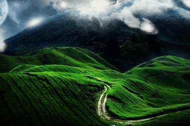 Avatar Wallpapers 29118