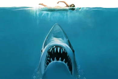 Jaws Movie Concept Wallpapers