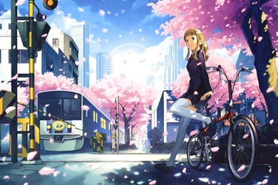 Schoolgirl On Her Bike Wallpapers   Anime Wallpapers