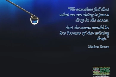 Mother Teresa Quotes Wallpapers