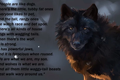 Black Wolf Desktop Backgrounds HD 1920x1200