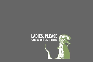 Dino Wallpapers   Dinasours Wallpapers