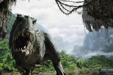 Dino In Room Wallpapers   (