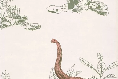 Dino Wallpapers   Pink Green — Sian Zeng