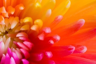 Iphone 6 Plus Wallpapers On Pinterest