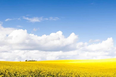 HD Nature Landscape Backgrounds Galaxy S4 1080x1920 ...