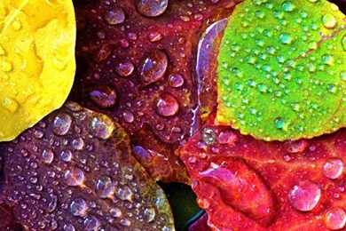 50 Stunning HD iPhone 6 Wallpapers