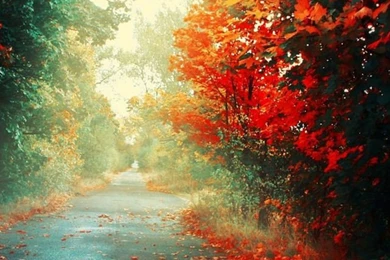 50 Stunning HD iPhone 6 Wallpapers