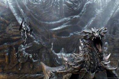 Download 1440x900 TES5 Skyrim Dragon Wallpapers