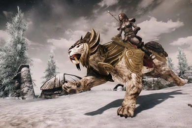 Download 1440x900 Skyrim Mount Wallpapers