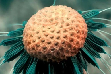 Supernatural Photo Wallpapers   Splendid Wallpapers HD