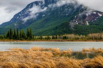 Iphone 5 wallpapers hd 2950 5otm2.jpg