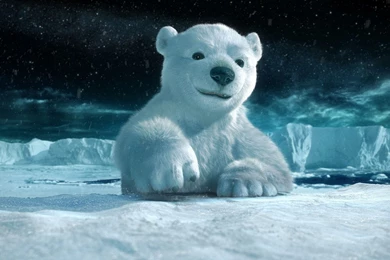 Polar Bears HD Wallpaper.jpeg