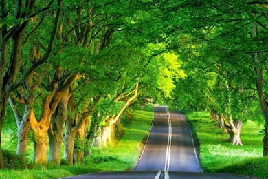 Beautiful Nature Images HD Wallpapers