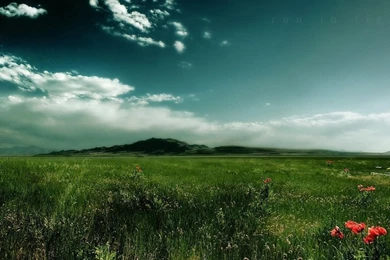 Amazing Nature Photography HD Wallpapers – HD Wallpapers Free ...