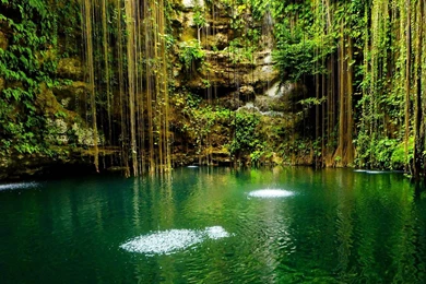 Beautiful Nature Photography Wallpapers Hd Pictures 4 Hd Wallpapers ...