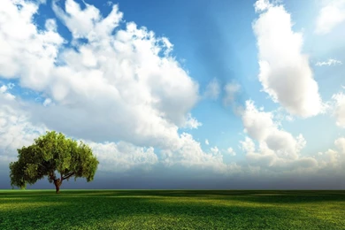 3D Nature HD Wallpapers