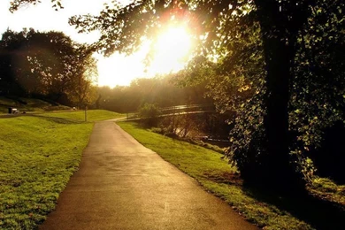 Nature Photography Hd Backgrounds Wallpapers 38 HD Wallpapers ...