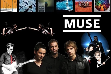 Muse Wallpaper... By Beth182 On DeviantArt