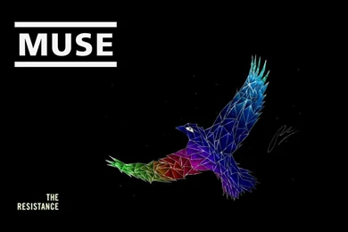 Muse Wallpapers Full HD Free Download 49590 Full HD Wallpapers ...