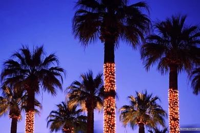 Holiday Desktop Wallpapers 2015   Grasscloth Wallpapers