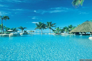 Summer Season Wallpapers   Crazy Frankenstein