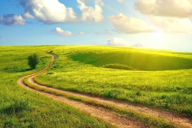 1366x768 Summer Day Meadow Wallpapers