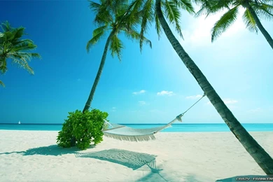 Summer Scenes Wallpapers 2   Crazy Frankenstein