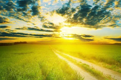 1366x768 Summer Sunshine Wallpapers