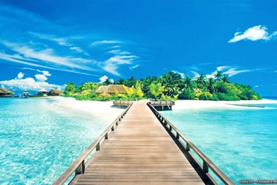 Beautiful Summer Wallpapers   Crazy Frankenstein