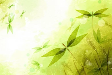 Vector Backgrounds Art Flower Hd Your Top HD Wallpapers