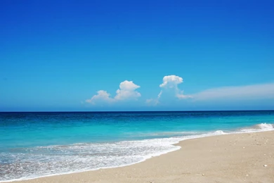 Cool Summer Nature Wallpaper Images