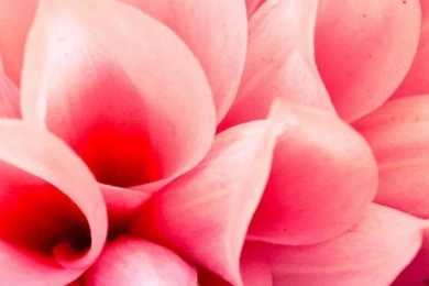 Wallpapers & Backgrounds On Pinterest