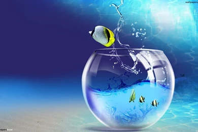 B_a fishbowl under water.jpg