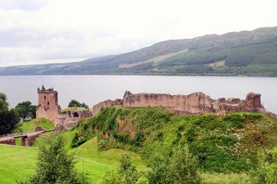 Free Desktop Wallpapers From SeyeneCo Website Design