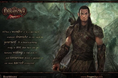 1366x768 Dragon Age: Origins Elf Desktop PC And Mac Wallpapers