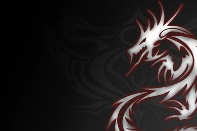 1366x768 Grey, Dragon, Tattoo Wallpapers And Pictures 1604