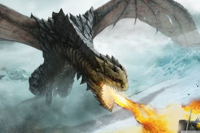 Dragon Fire HD Desktop Wallpapers : High Definition : Fullscreen ...