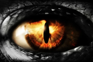 Dragon Eye Widescreen Wallpapers