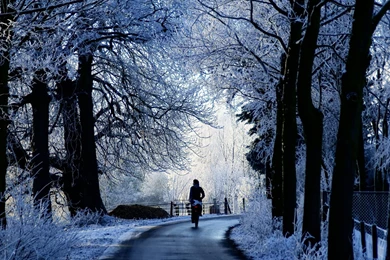 Wallpapers Of Winter Wallpapers For Mac