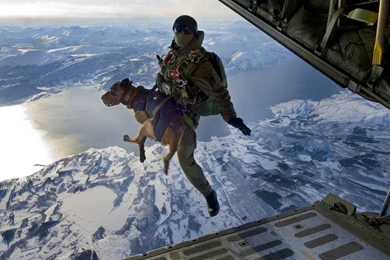 Skydiving Wallpapers 04