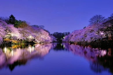 Download Wallpapers 1024x600 Japan, Osaka, City, Park, Lake, Light ...